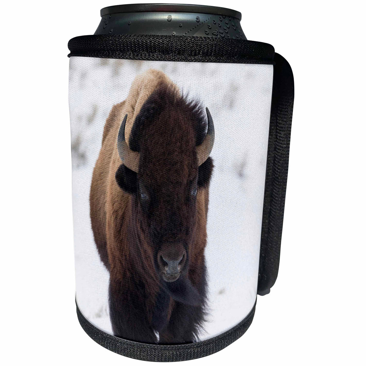 3dRose Danita Delimont - Bison - Bison winter bull. - Can Cooler Bottle Wrap (cc_345428)