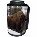 3dRose Danita Delimont - Bison - Bison winter survivor. - Can Cooler Bottle Wrap (cc_345429)