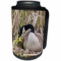3dRose Canada goose tending newly hatched goslings. - Can Cooler Bottle Wrap (cc_345430)