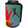 3dRose Booted racket-tail hummingbird. - Can Cooler Bottle Wrap (cc_345439)