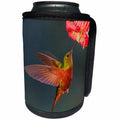 3dRose Chestnut-breasted coronet. - Can Cooler Bottle Wrap (cc_345441)