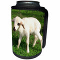3dRose A Cute Newborn Spring Lamb Photograph - Can Cooler Bottle Wrap (cc_347085)