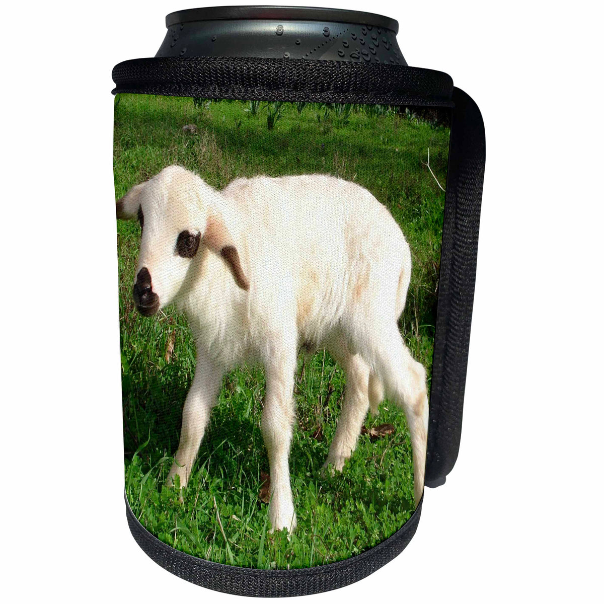 3dRose A Cute Newborn Spring Lamb Photograph - Can Cooler Bottle Wrap (cc_347085)
