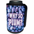 3dRose Image of Words Why So Plum with Plums Background - Can Cooler Bottle Wrap (cc_349095)