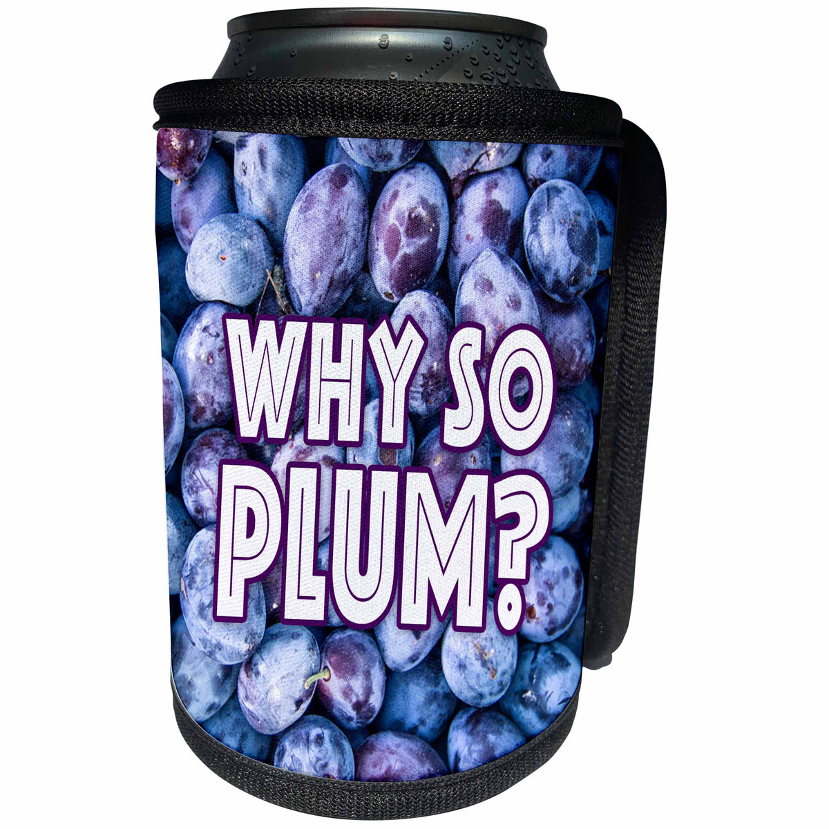 3dRose Image of Words Why So Plum with Plums Background - Can Cooler Bottle Wrap (cc_349095)