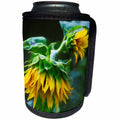 3dRose Sunflowers drooping in late afternoon - Can Cooler Bottle Wrap (cc_351712)