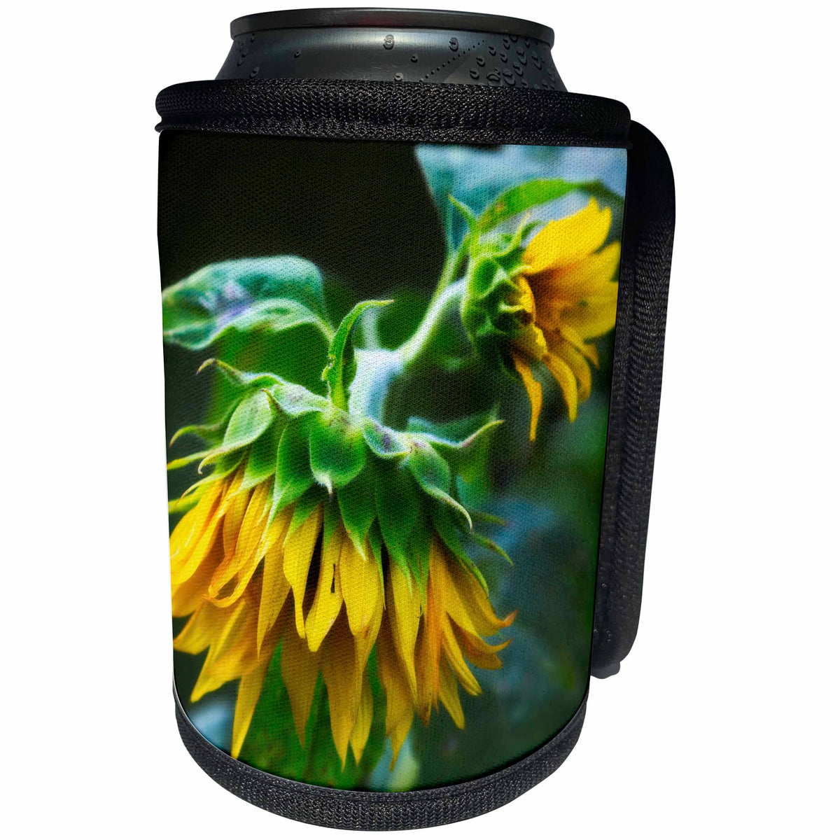 3dRose Sunflowers drooping in late afternoon - Can Cooler Bottle Wrap (cc_351712)