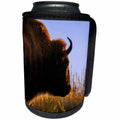 3dRose Bison facing the morning sun - Can Cooler Bottle Wrap (cc_351721)