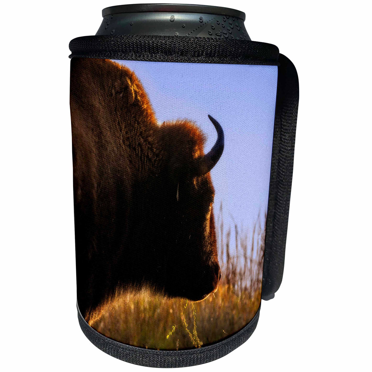 3dRose Bison facing the morning sun - Can Cooler Bottle Wrap (cc_351721)