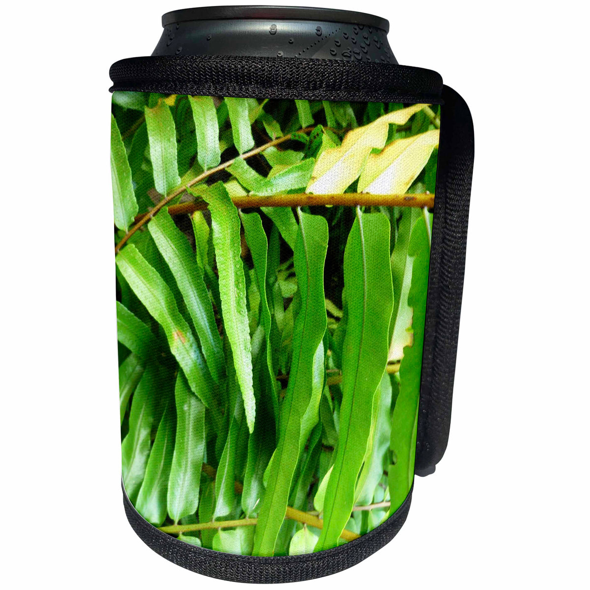 3dRose Florene Macro Plants - Fern Up Close - Can Cooler Bottle Wrap (cc_35298)
