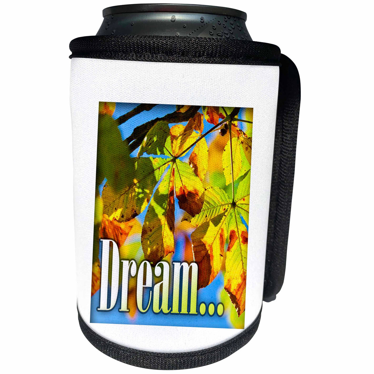 3dRose Image of Word Dream - Can Cooler Bottle Wrap (cc_356670)