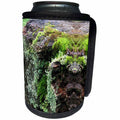3dRose ROTTEN WOOD WITH LICHEN MIRROR PHOTO - Can Cooler Bottle Wrap (cc_358694)