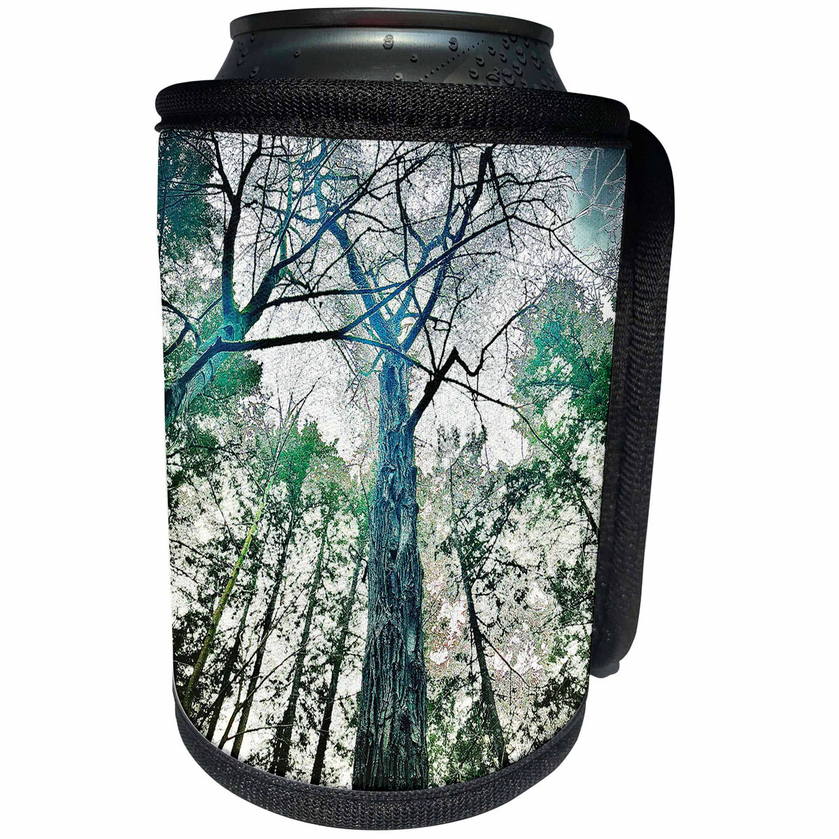 3dRose WINTER TREE DOME ABSTRACT PHOTO - Can Cooler Bottle Wrap (cc_358706)