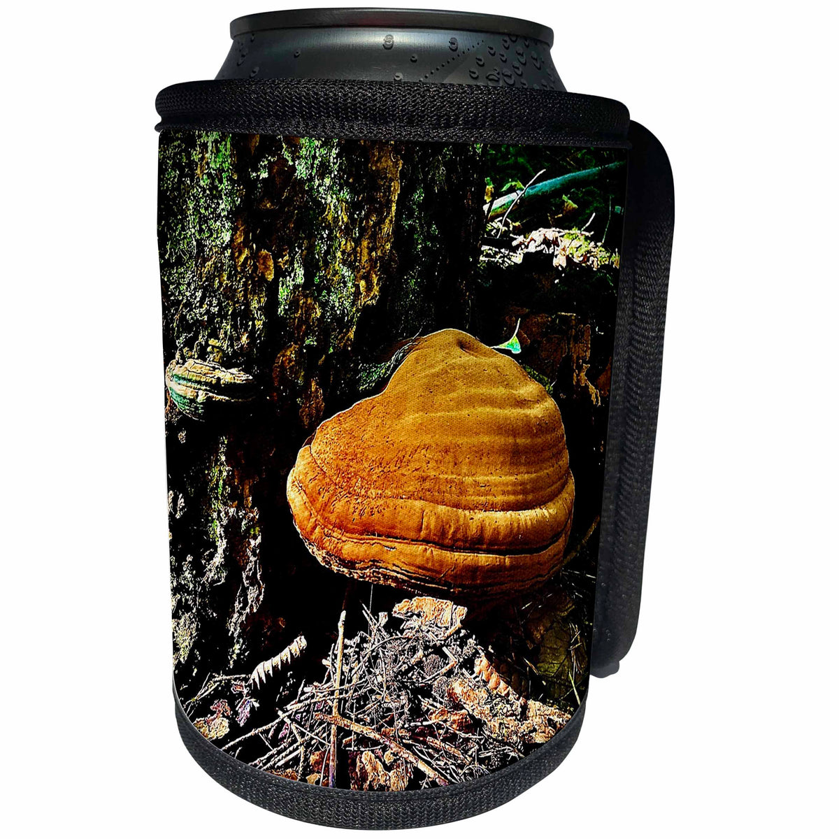 3dRose DYLAN SEIBOLD - PHOTOGRAPHY - ORANGE TREE FUNGUS - Can Cooler Bottle Wrap (cc_358978)