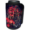 3dRose DYLAN SEIBOLD - PHOTOGRAPHY - RED MUSHROOMS - Can Cooler Bottle Wrap (cc_358989)
