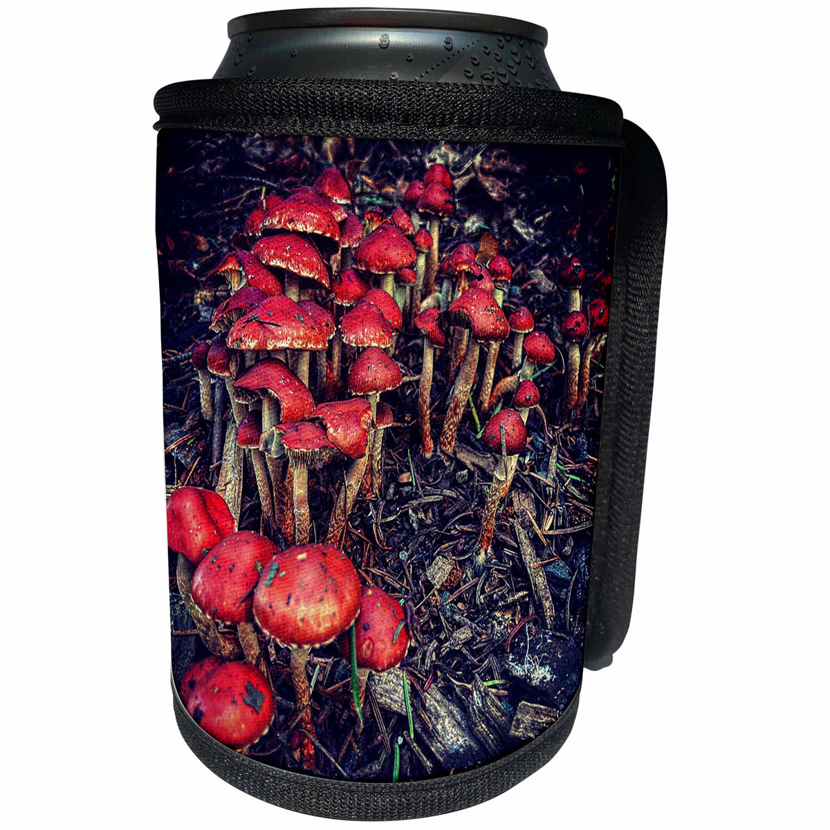 3dRose DYLAN SEIBOLD - PHOTOGRAPHY - RED MUSHROOMS - Can Cooler Bottle Wrap (cc_358989)