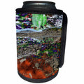 3dRose COASTAL DIGITAL JUXTOPOSITION - Can Cooler Bottle Wrap (cc_359012)