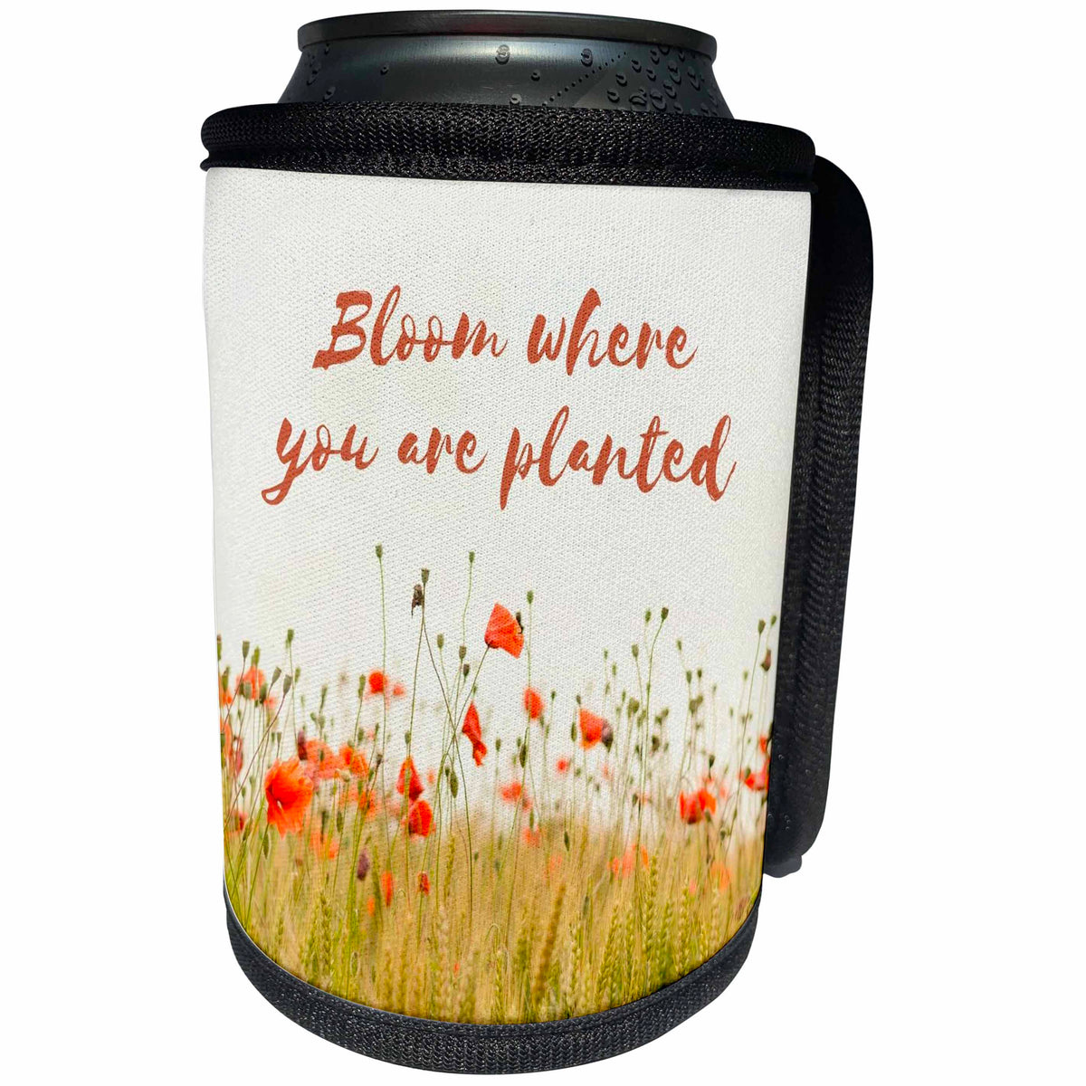 3dRose Image with a text bloom where you are planted. - Can Cooler Bottle Wrap (cc-360243)