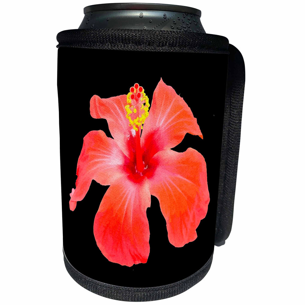 3dRose Red Hibiscus Vector Isolated Botanical Art - Can Cooler Bottle Wrap (cc-360956)