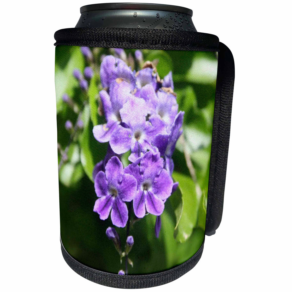 3dRose Duranta Erecta Verbena Flowering Shrub - Can Cooler Bottle Wrap (cc-362617)