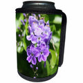 3dRose Duranta Erecta Verbena Flowering Shrub - Can Cooler Bottle Wrap (cc-362617)