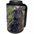 3dRose Altintas Aydin Bozdogan Nature Reserve - Can Cooler Bottle Wrap (cc-364790)