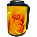 3dRose Flowers - Yellow Rose - Can Cooler Bottle Wrap (cc_3648)