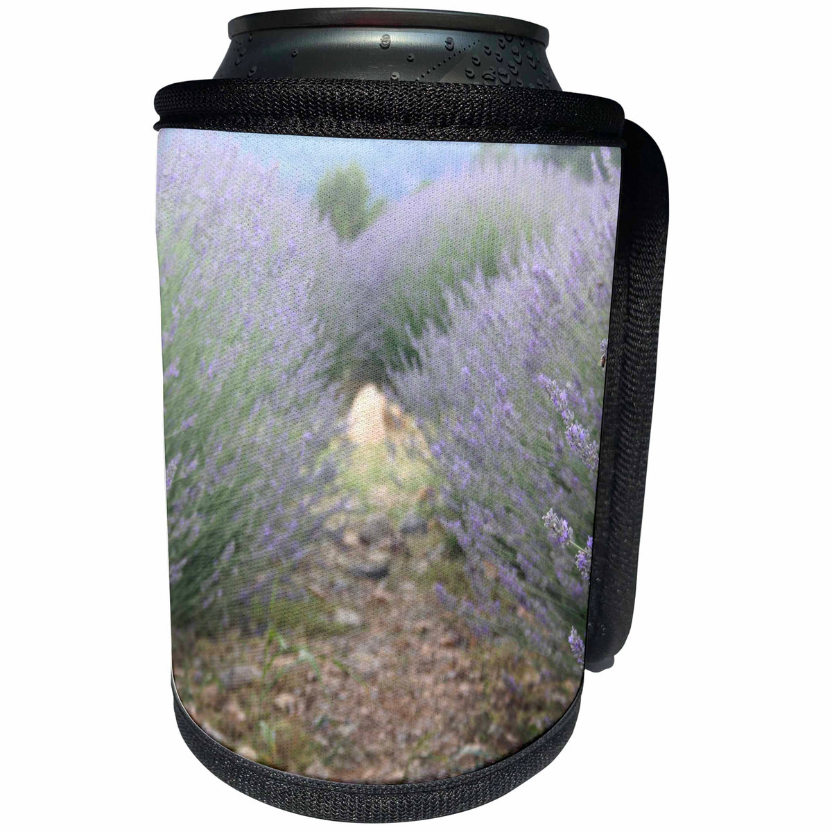 3dRose The Path Through Lavender Landscape Photograph - Can Cooler Bottle Wrap (cc-365807)