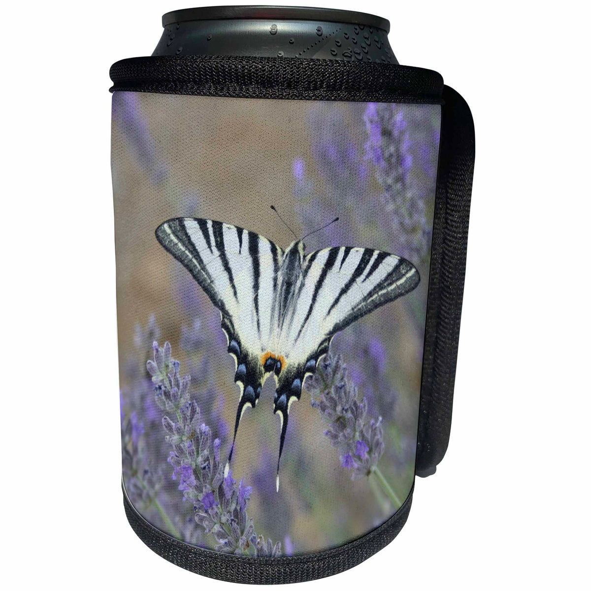3dRose Elegant Swallowtail On Lavender Spike Photograph - Can Cooler Bottle Wrap (cc-365838)