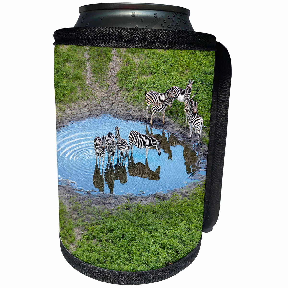 3dRose Zebra in pond, Okavango Delta, Botswana. - Can Cooler Bottle Wrap (cc-366229)
