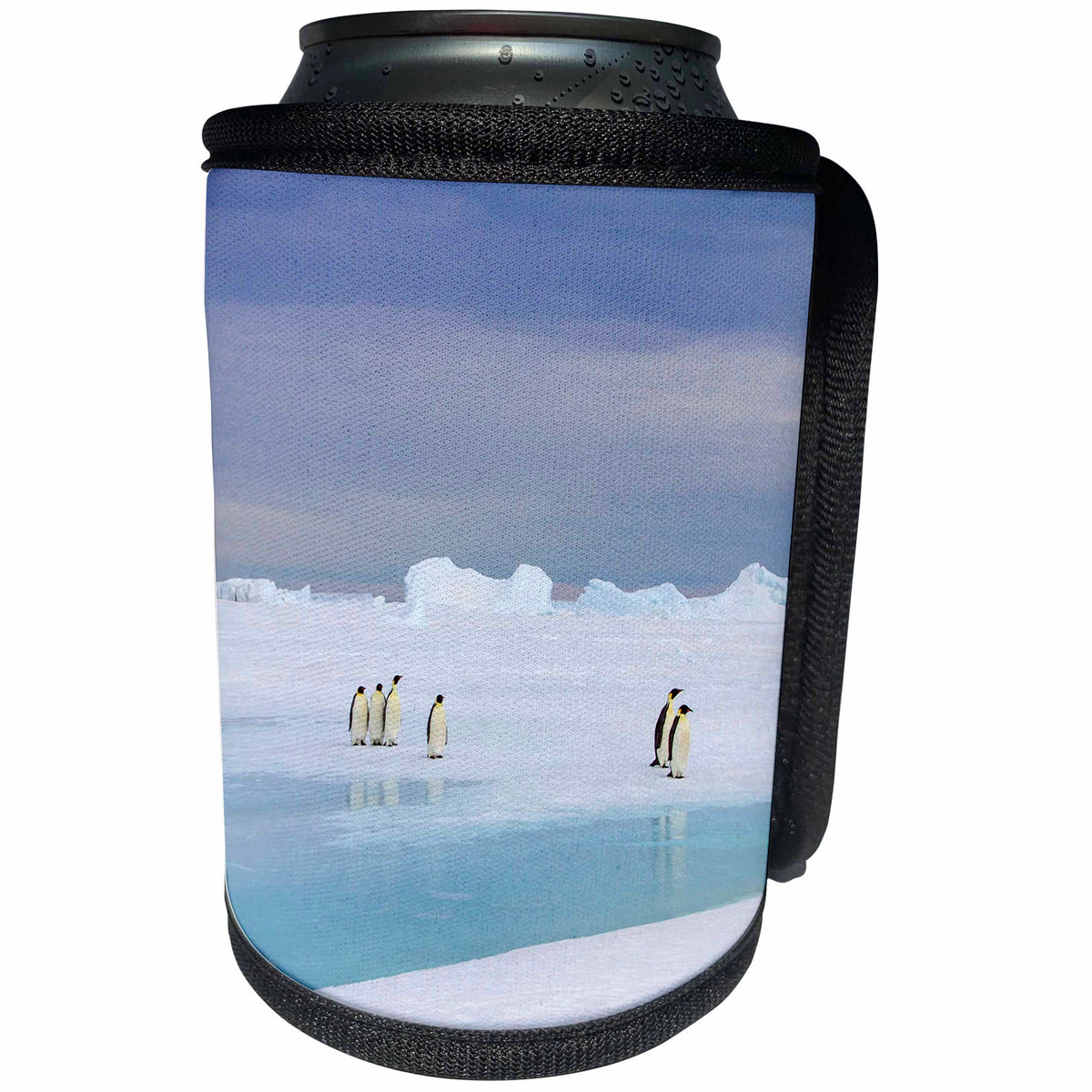 3dRose Antarctica, Snow Hill. Emperor penguins pause on their... - Can Cooler Bottle Wrap (cc-366291)