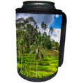 3dRose Rice fields at Tegallalang Rice Terrace, Bali - Can Cooler Bottle Wrap (cc-366329)