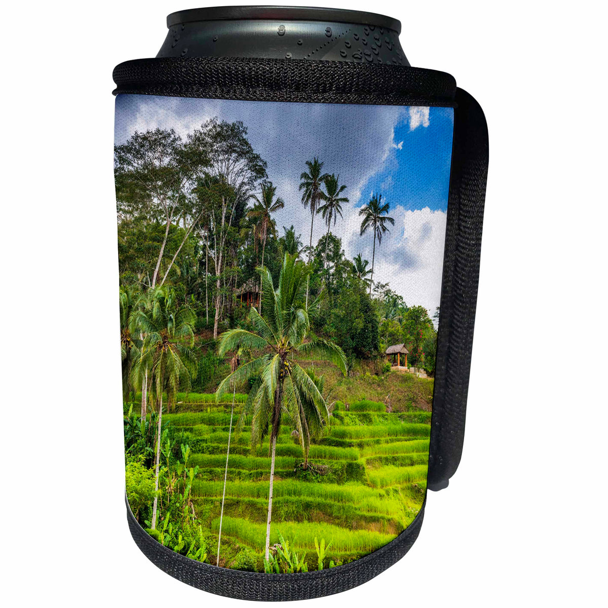 3dRose Rice fields at Tegallalang Rice Terrace, Bali - Can Cooler Bottle Wrap (cc-366329)