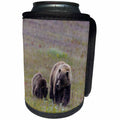 3dRose Canada, British Columbia, Grizzly and cub roadside on... - Can Cooler Bottle Wrap (cc-366389)