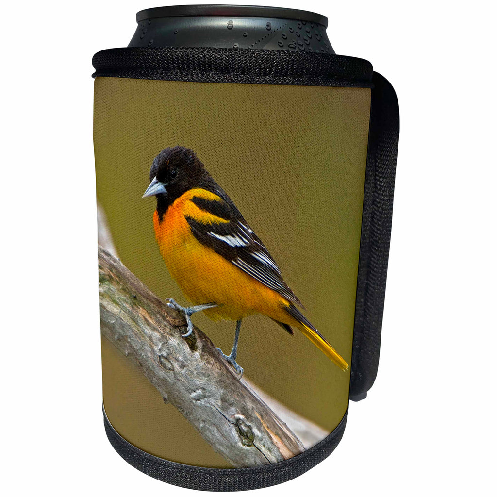 3dRose Canada, Ontario, Rondeau Provincial Park. Baltimore... - Can Cooler Bottle Wrap (cc-366404)