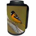 3dRose Canada, Ontario, Rondeau Provincial Park. Baltimore... - Can Cooler Bottle Wrap (cc-366404)