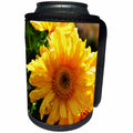 3dRose WhiteOak Photography Floral Prints - Daisy with Sun Shining on it - Can Cooler Bottle Wrap (cc_36970)