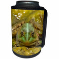 3dRose Green Frog Camouflaged Against Weathered River Bed - Can Cooler Bottle Wrap (cc-370995)