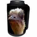 3dRose Beautiful Artistic Grumpy Ostrich Vector Cut Out - Can Cooler Bottle Wrap (cc-371016)