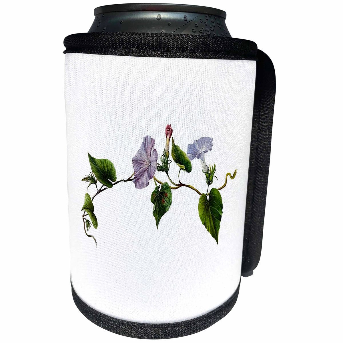 3dRose Koali awahia Ipomoea Indica Botanical Vector Art - Can Cooler Bottle Wrap (cc-371030)