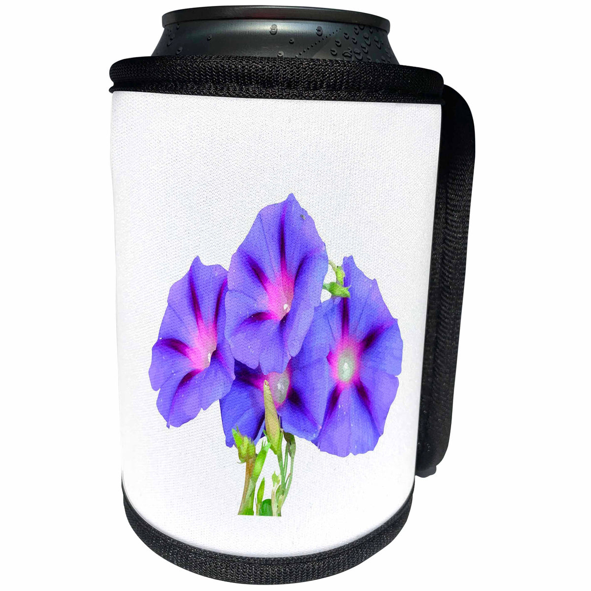 3dRose A Glorious Morning Ipomoea Vector Cut Out - Can Cooler Bottle Wrap (cc-371033)