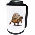 3dRose Marching Baby Tortoise Cartoon Vector Isolated - Can Cooler Bottle Wrap (cc-371493)