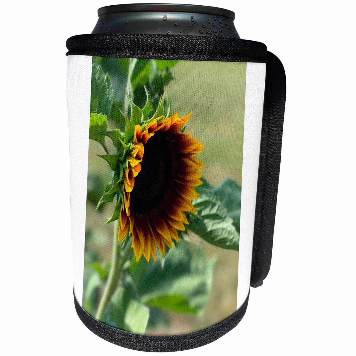 3dRose Image of Sunflower Photo Close Up Sideview Yellow... - Can Cooler Bottle Wrap (cc-371702)
