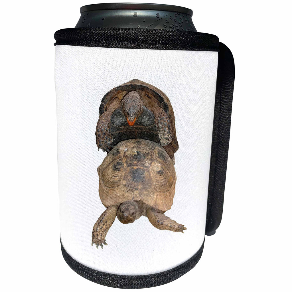 3dRose Mating Tortoises Vector Cut Out - Can Cooler Bottle Wrap (cc-375772)