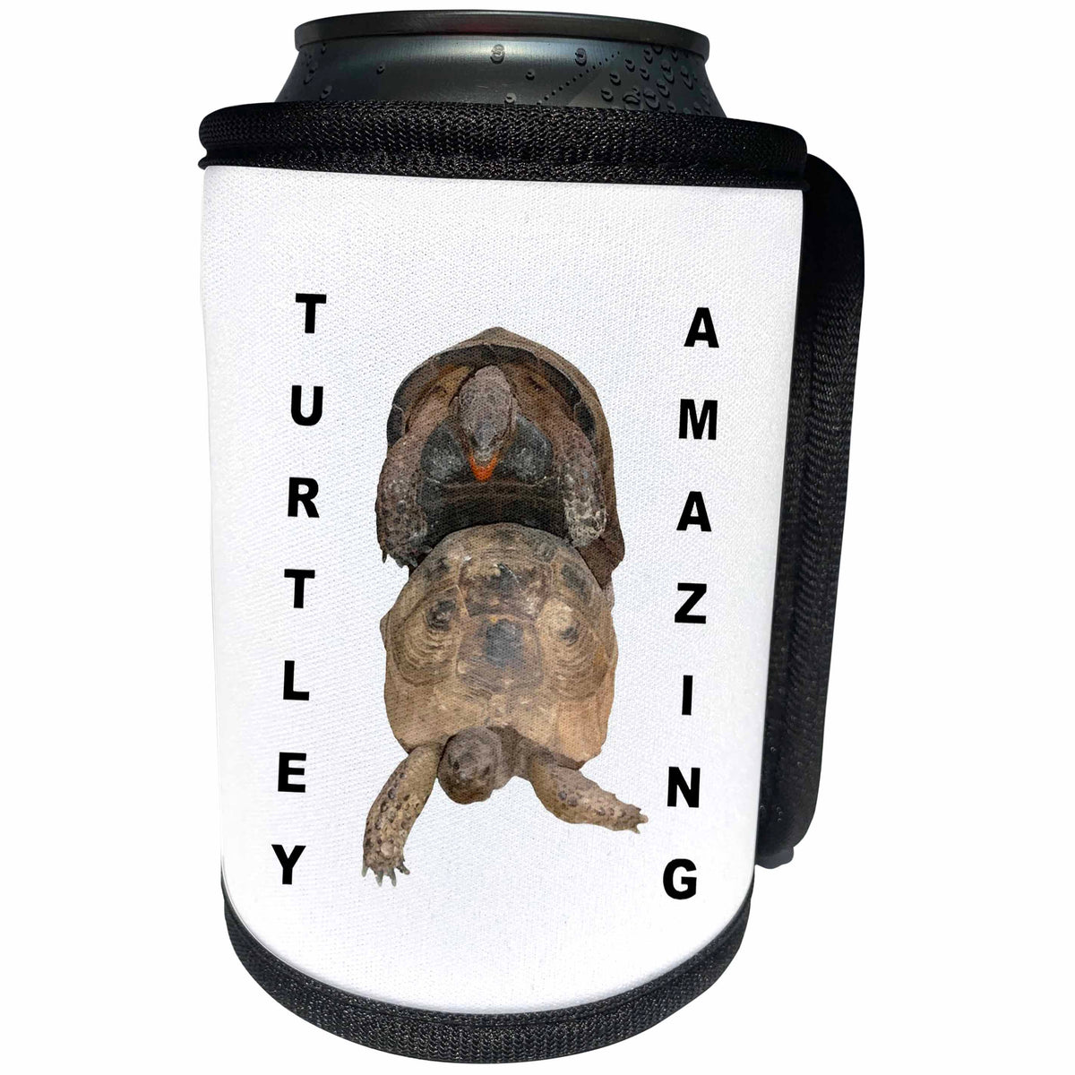 3dRose Turtley Amazing Mating Tortoises Vector Cut Out - Can Cooler Bottle Wrap (cc-375773)