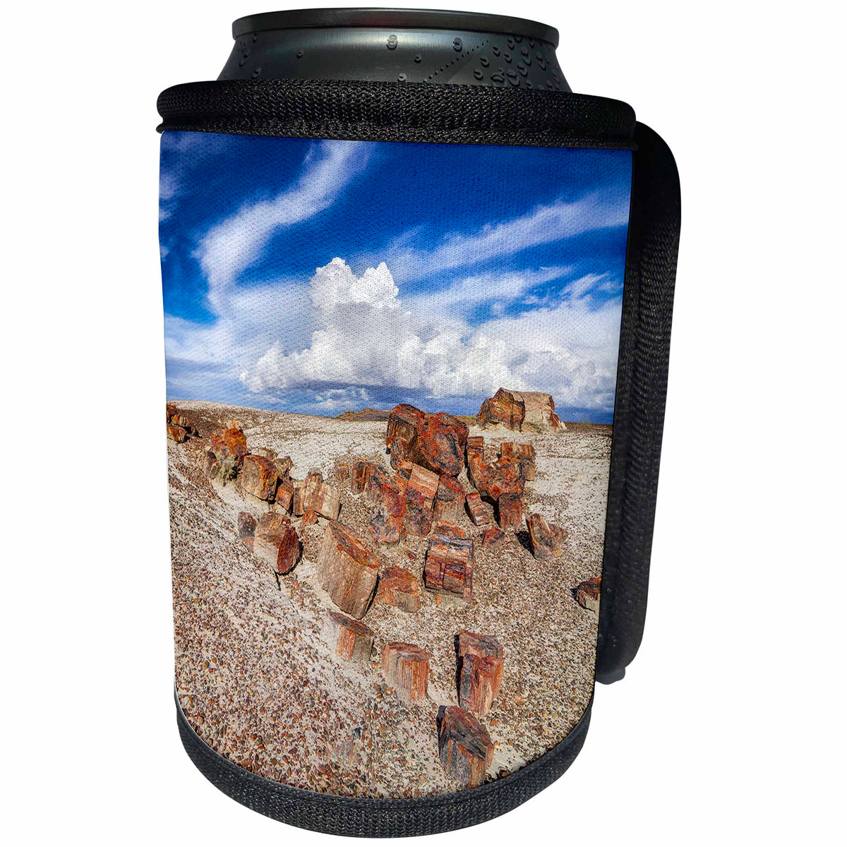3dRose Petrified rock segments found in Petrified Forest... - Can Cooler Bottle Wrap (cc-376346)