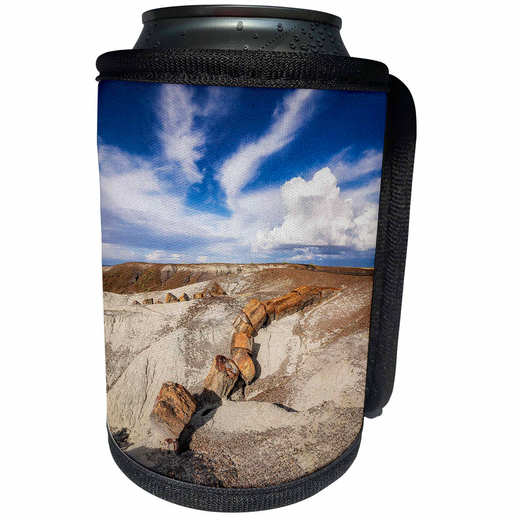3dRose Jumbled petrified rock sections in Petrified Forest... - Can Cooler Bottle Wrap (cc-376347)