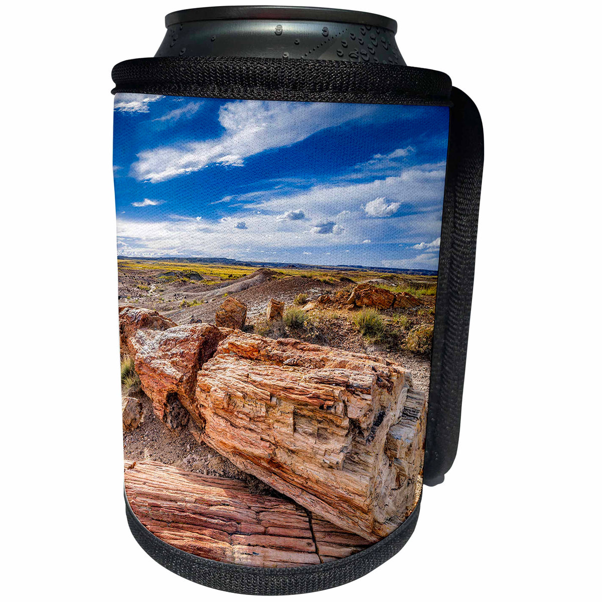 3dRose Petrified tree rock stack in Petrified Forest National... - Can Cooler Bottle Wrap (cc-376349)