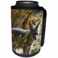 3dRose Kike Calvo Animals - Fox Peninsula Valdes Argentina - Can Cooler Bottle Wrap (cc_37637)