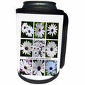 3dRose I Think Of You Every Daisy Pun White African Daisy... - Can Cooler Bottle Wrap (cc-376722)